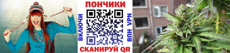закладки Бавлы Каннабис конопля